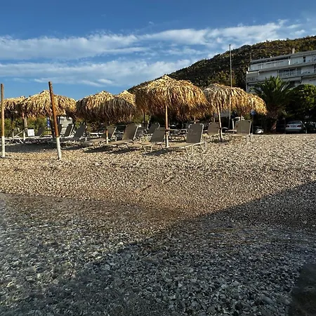 شقة Stylish Seaside Apartment-just 50m From The
