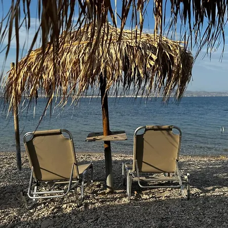 Apartment Cozy 50m From The Sea *
