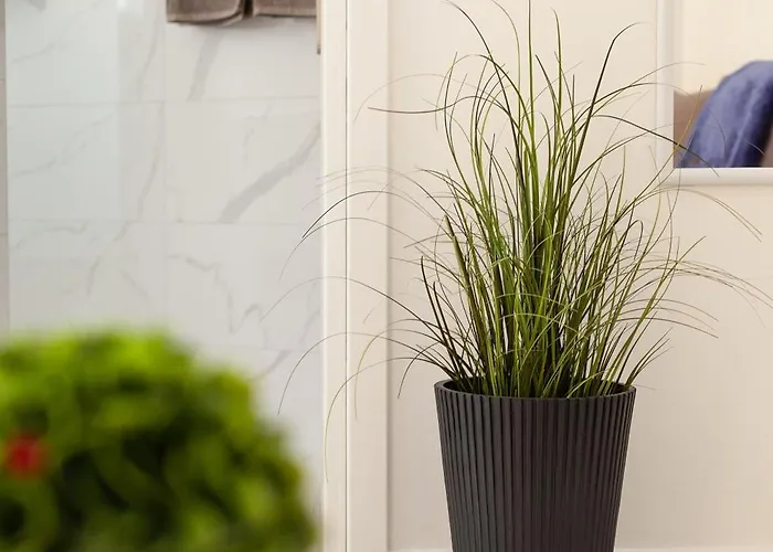 Stylish Seaside Apartment-just 50m From The ルートラキ